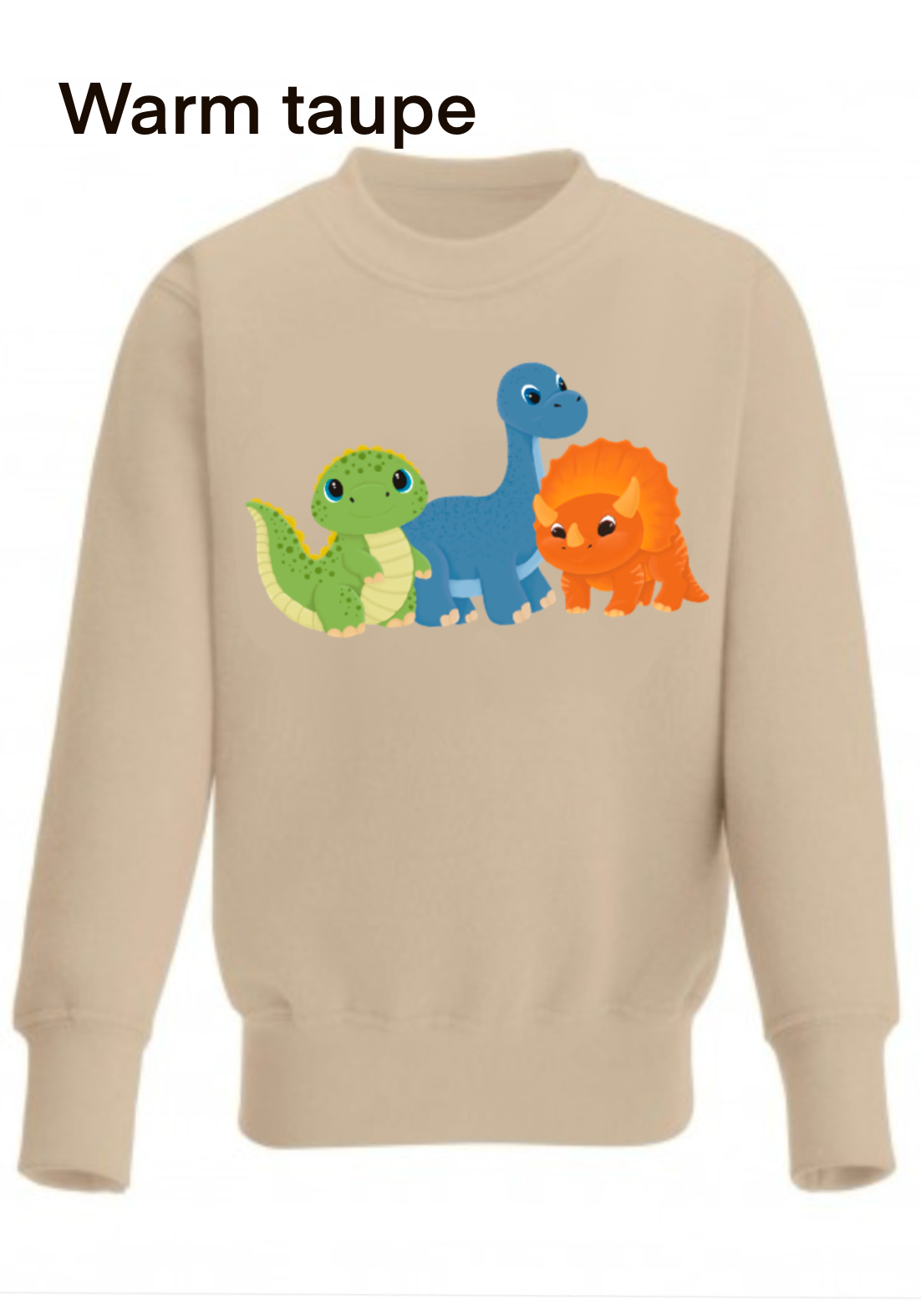 dinosaur trio sweatshirt