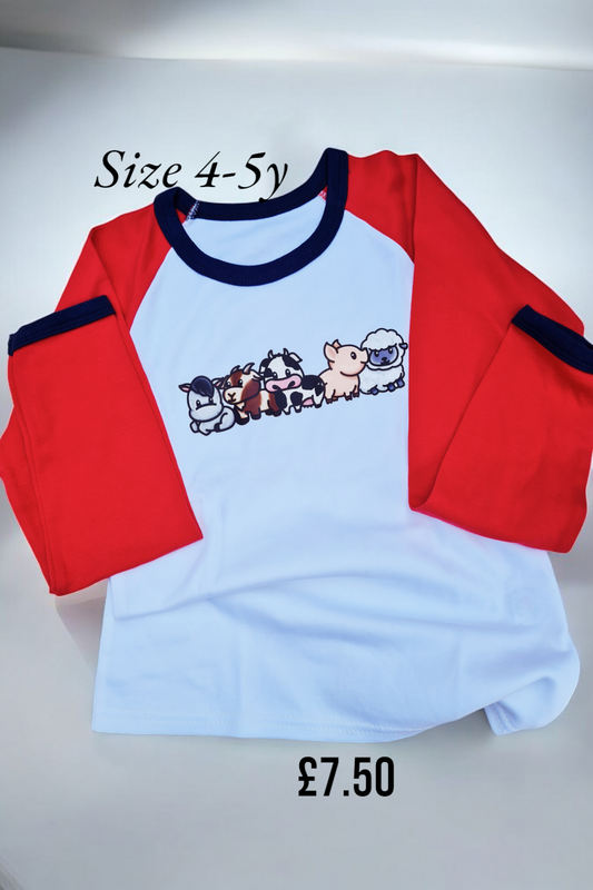 Raglan sleeve size 4-5 y